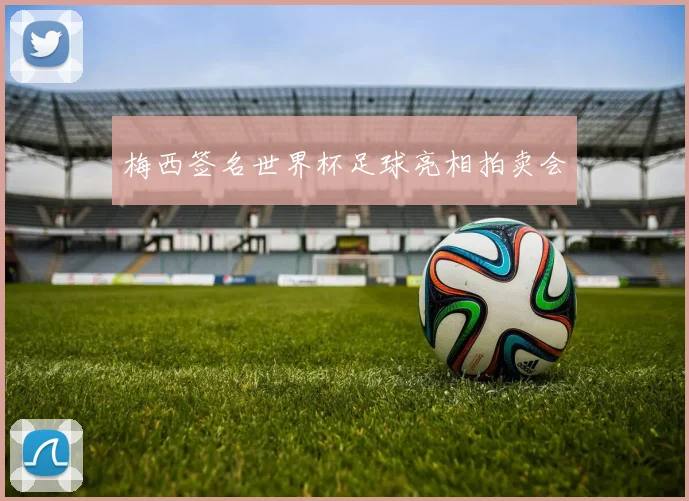 梅西签名世界杯足球亮相拍卖会