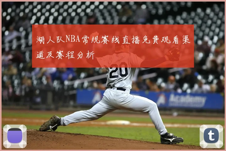 湖人队NBA常规赛线直播免费观看渠道及赛程分析
