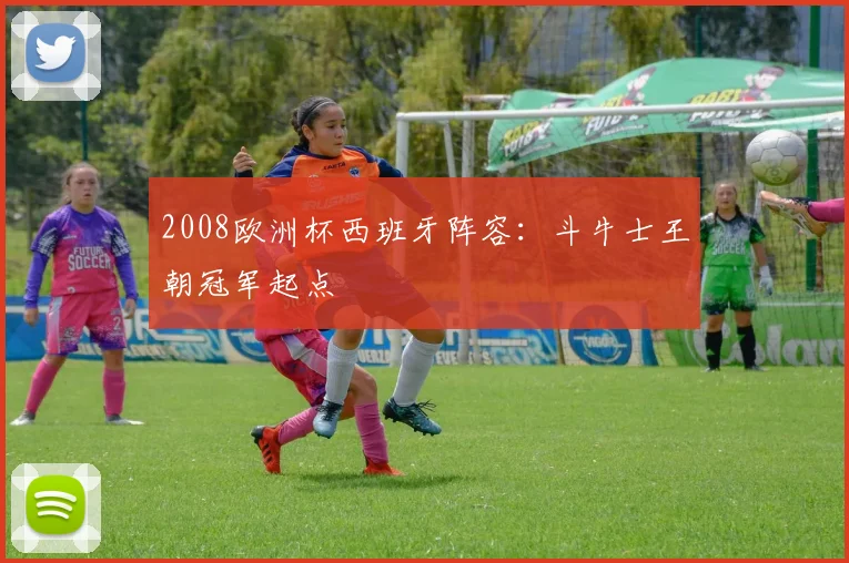2008欧洲杯西班牙阵容:斗牛士王朝冠军起点