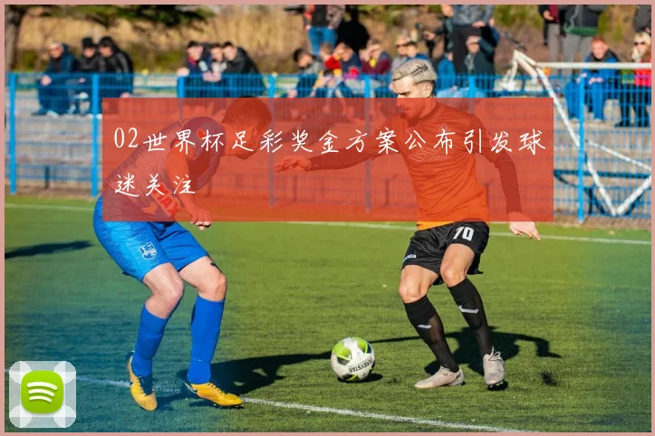 02世界杯足彩奖金方案公布引发球迷关注