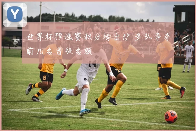 世界杯预选赛积分榜出炉 多队争夺前几名晋级名额