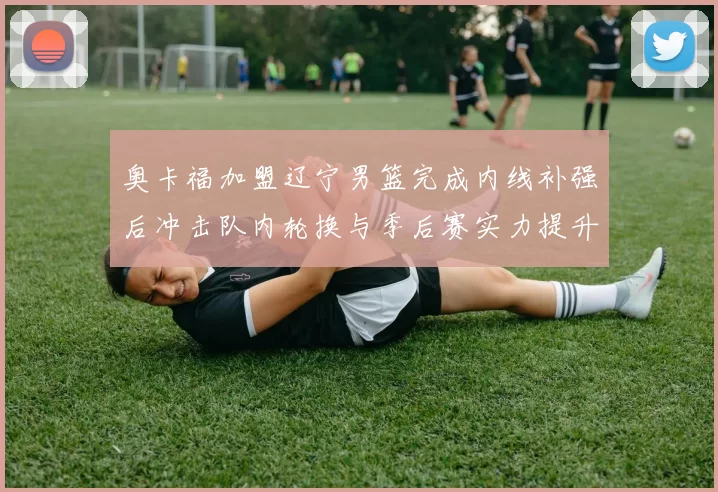 奥卡福加盟辽宁男篮完成内线补强后冲击队内轮换与季后赛实力提升