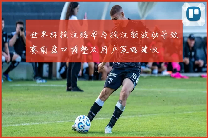 世界杯投注赔率与投注额波动导致赛前盘口调整及用户策略建议